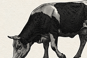 Heraldry Cow Engraving Illustration, an Animal Illustration by Kaizla03 (Thumbnail 2 of 4)