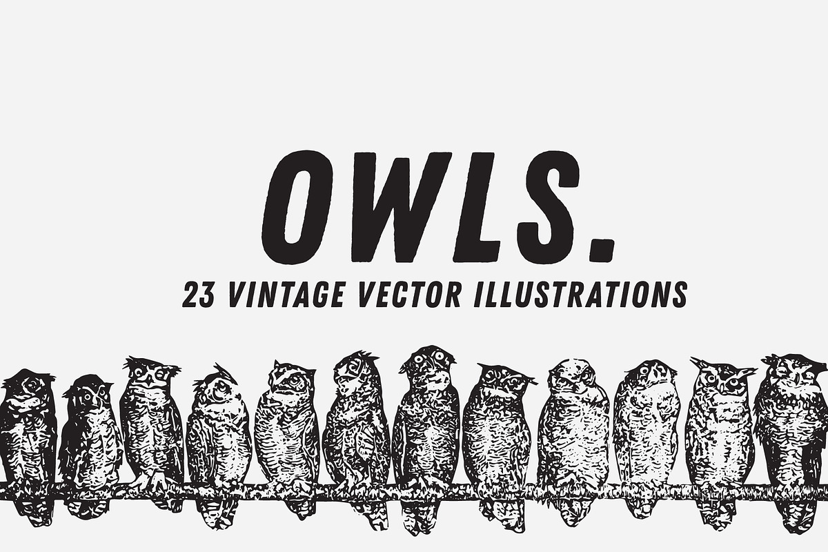 OWLS | 23 Vintage Vectors, an Animal Illustration by Britt & Kit (Photo 1 of 2)