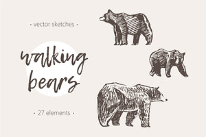 Set Of Sketches Of Walking Bears