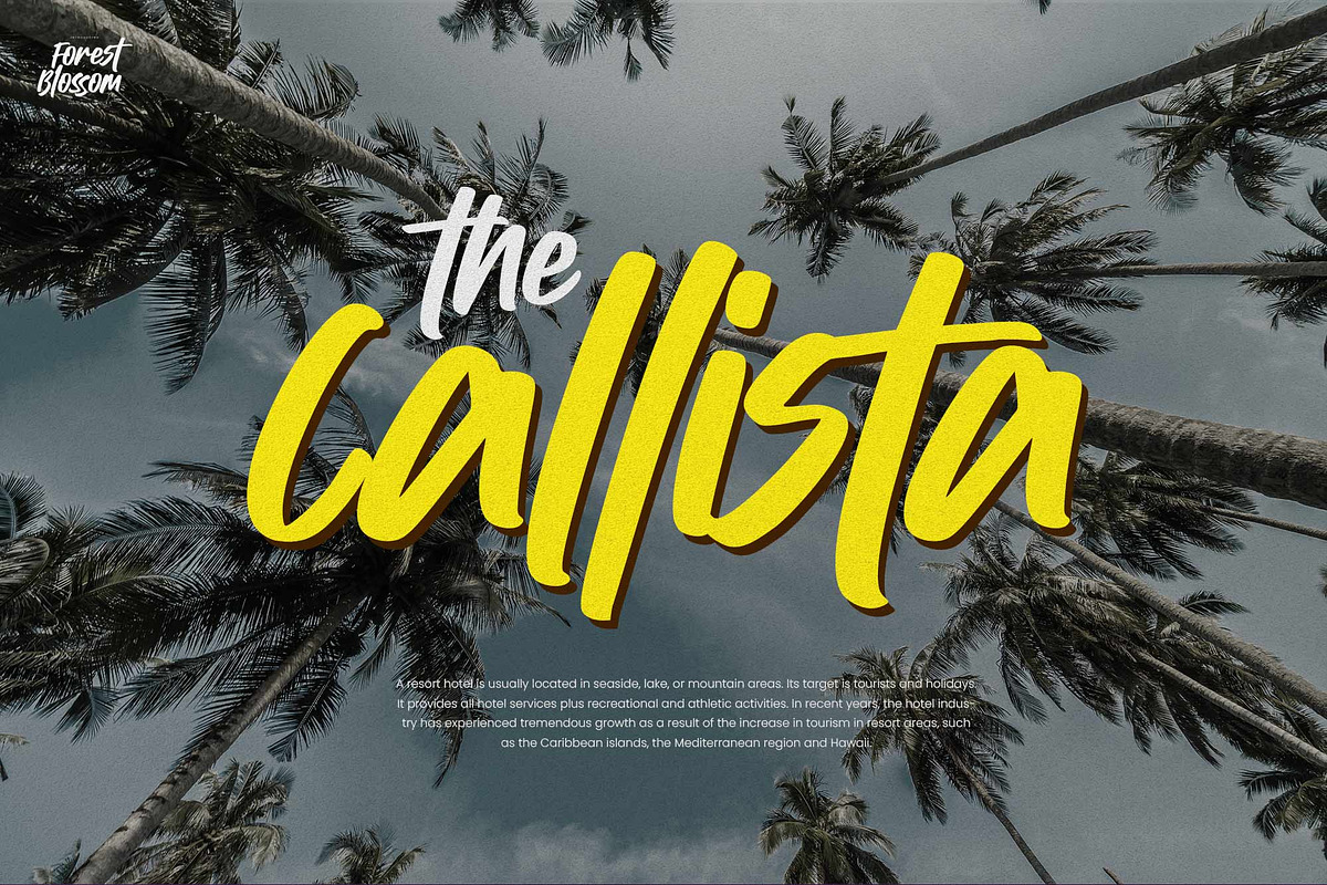 Forrest Blossom – Quick Brush Font, a Handwritten Font by Gassstype (Photo 2 of 8)