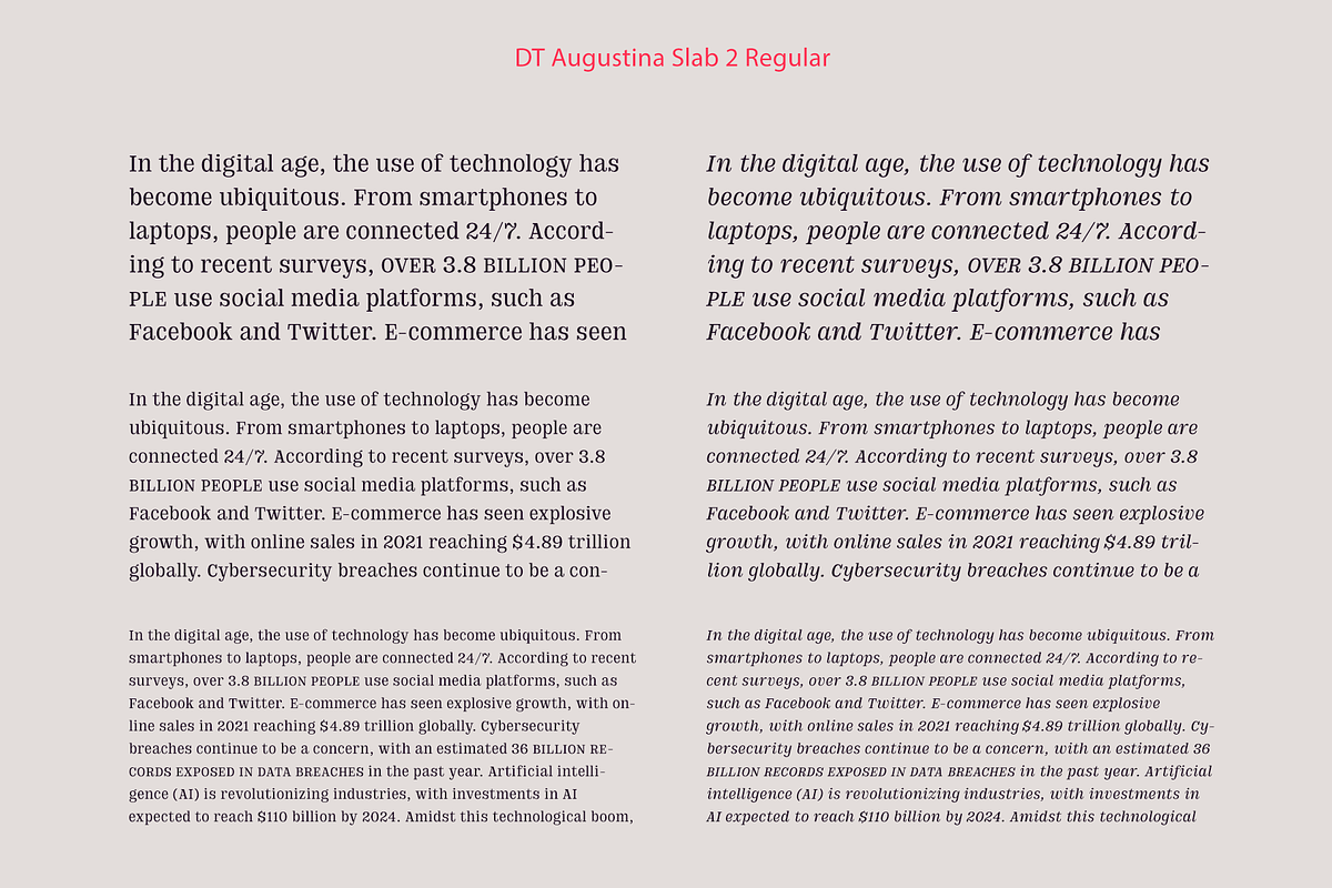 DT Augustina Slab 2 Subfamily, a Slab Serif Font by Deveze Type Foundry (Photo 8 of 30)