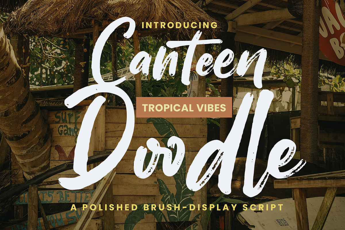 Canteen Doodle - Brush Display Font, a Script Font by Inviline.co (Photo 1 of 12)