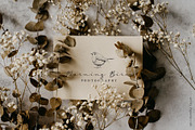 Small Birds hand drawn graphics, an Illustration by Pigment Café (Thumbnail 4 of 4)