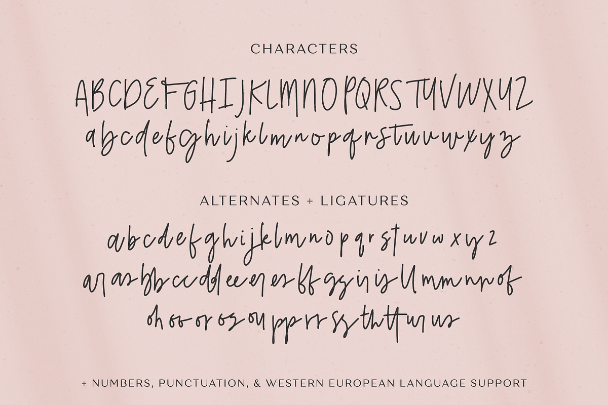 Belovedly Font - Handwriting Font, a Script Font by Beck McCormick (Photo 10 of 11)