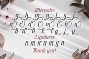Fendysa - Calligraphy Font, a Script Font by StringLabs (Thumbnail 14 of 14)