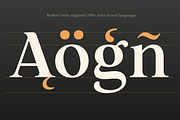 Restora Neue - 18 Fonts, a Serif Font by Nasir Udin (Thumbnail 17 of 20)