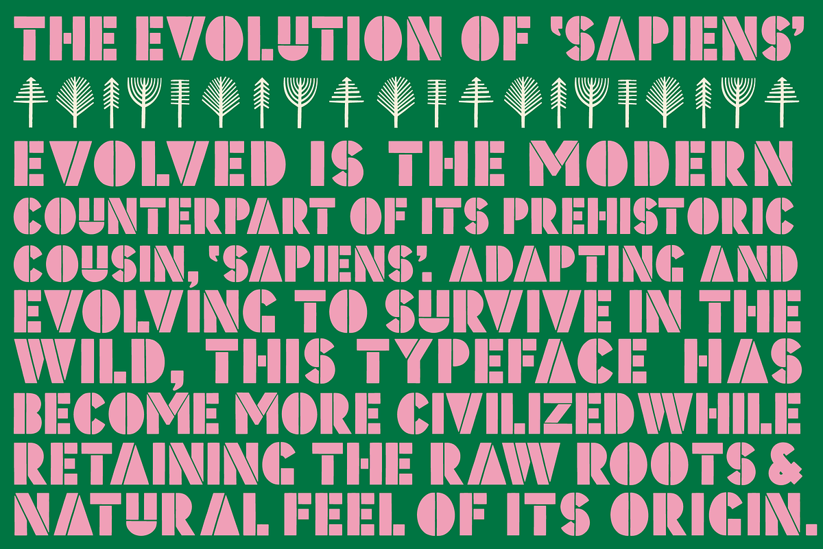 Evolved Font Family preview 2