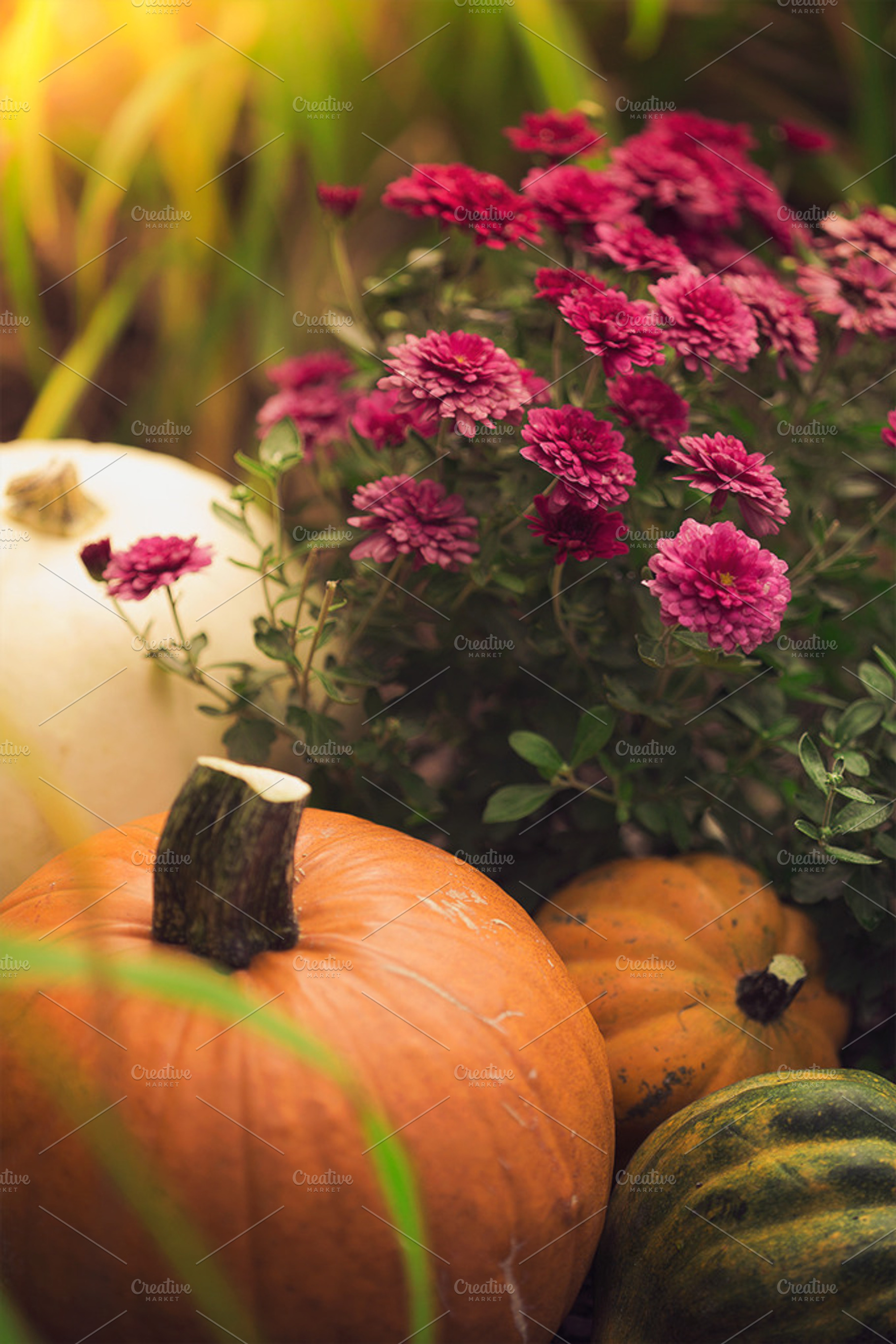 Autumn Colors Stock Photo