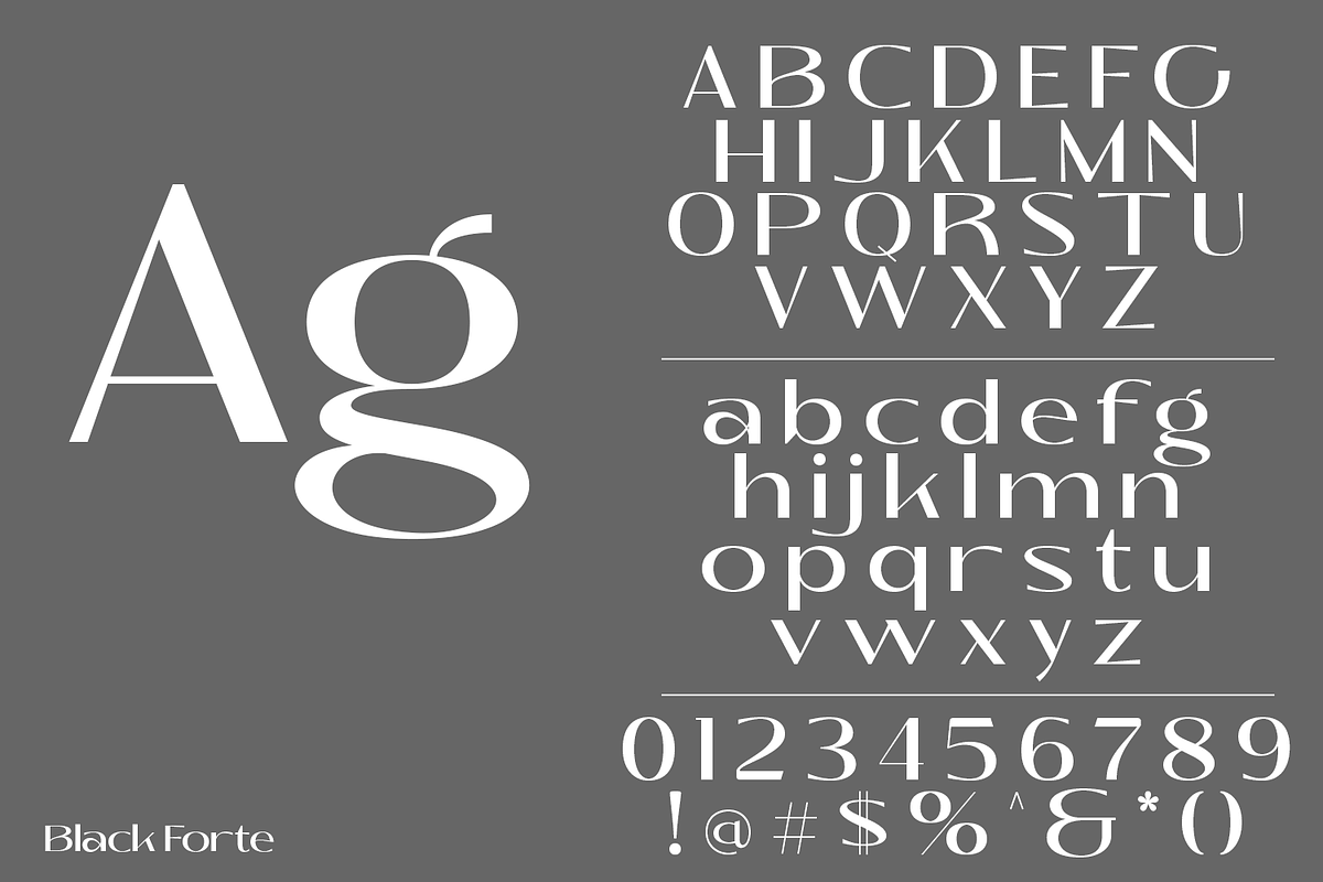 Black Forte, a Sans Serif Font by TypeClassHeroes (Photo 5 of 9)