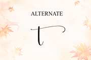 Autumn | Script Font, a Handwritten Font by Scratchones (Thumbnail 8 of 9)
