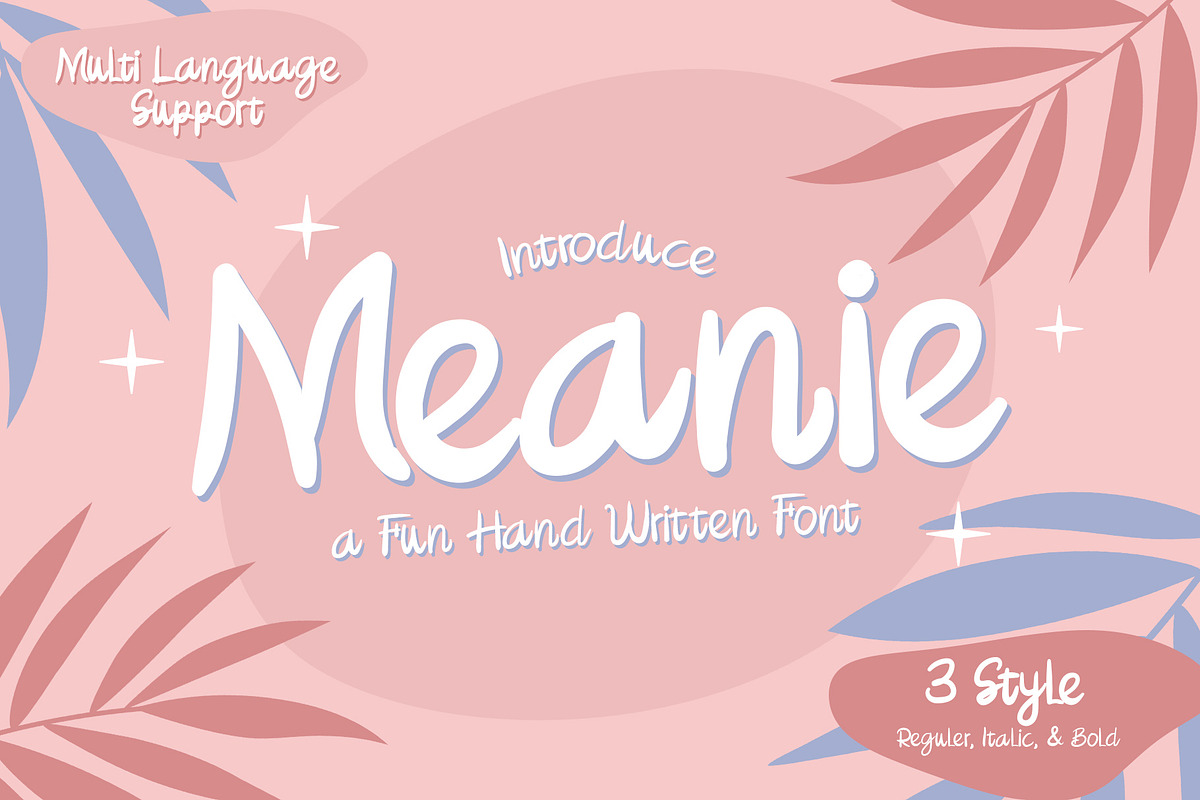Meanie a Fun Hand Written Font, a Script Font by Dawnside Graphic (Photo 1 of 11)