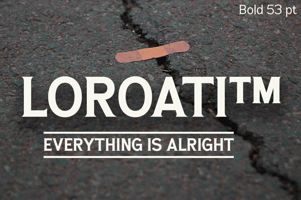 Lakaran, a Serif Font by Differentialtype (Photo 7 of 8)