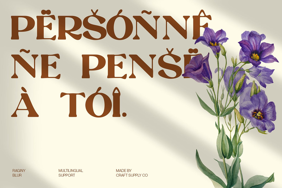 Raginy Blur, a Serif Font by Craft Supply Co. (Photo 5 of 8)