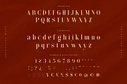 Anzelie – Elegant Stylish Serif, a Serif Font by Almeera Std (Thumbnail 10 of 10)
