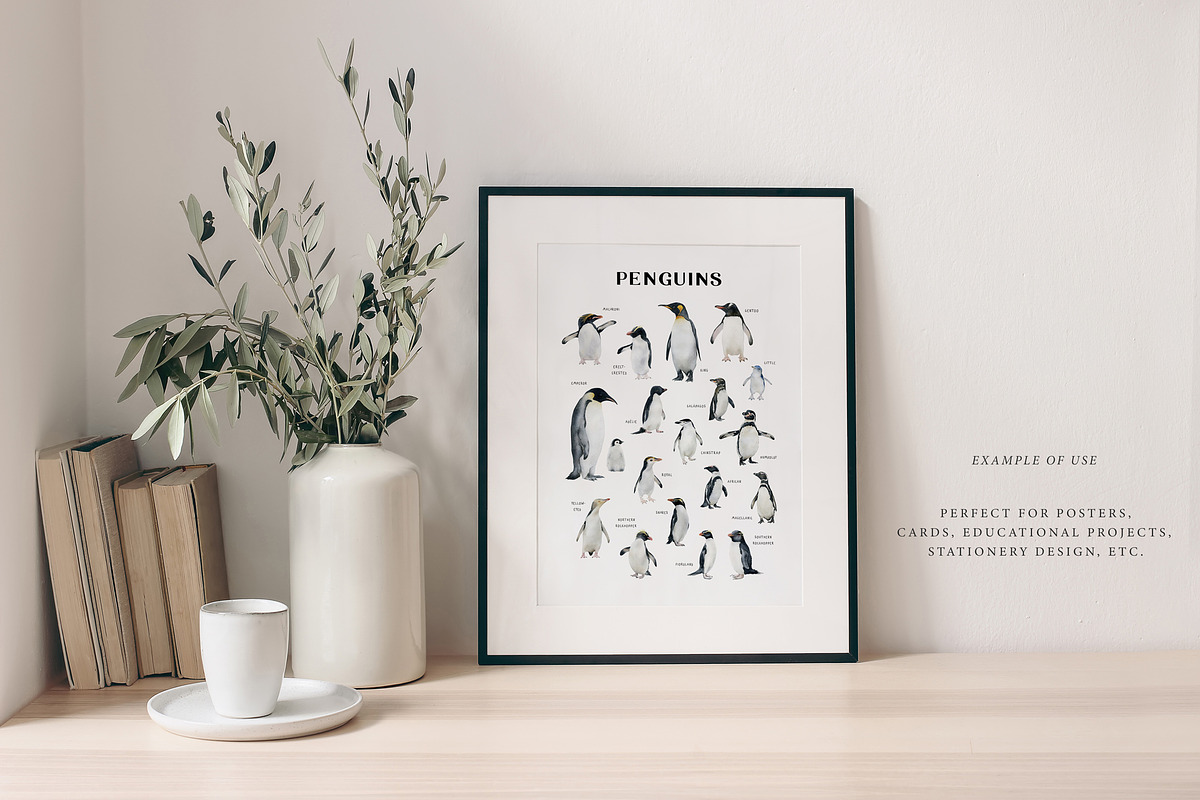 Watercolor penguins. Winter animals, an Animal Illustration by Diana Askarova Art (Photo 3 of 6)