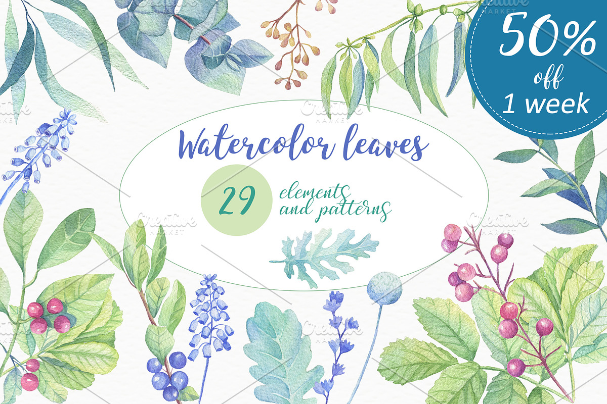 Watercolor leaves, berries, flowers, an Object Graphic by Irina Diasli (Photo 1 of 6)