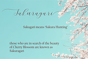 Cherry Blossom, a Script Font by Funtype (Thumbnail 7 of 9)