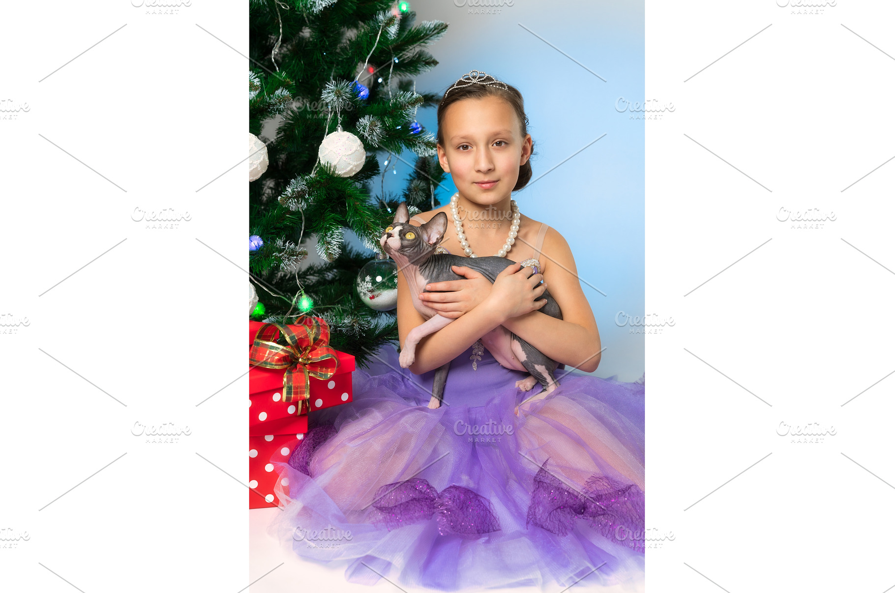 Girl in purple dress holding, an Animal Photo by Alexander-Piragis