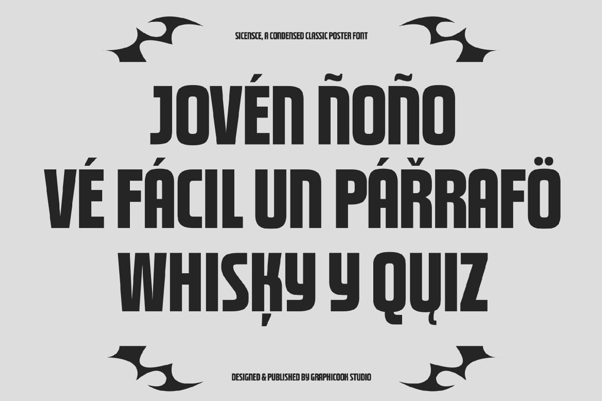 Sicense, a Sans Serif Font by graphicook (Photo 4 of 10)