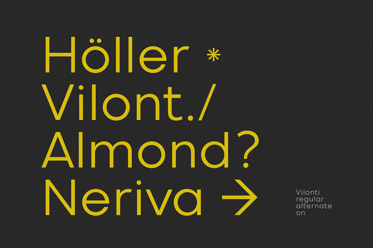 Vilonti, a Sans Serif Font by OWL KING (Photo 10 of 10)