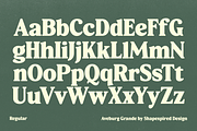 Aveburg Grande - Retro Chunk, a Serif Font by Shapespired Design (Thumbnail 18 of 22)