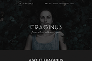 Fraginus Fashion Website Template, a Landing Page Template by PSDFY (Thumbnail 4 of 5)