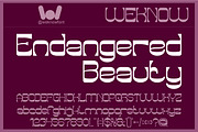 Endangered Beauty font, a Sans Serif Font by weknow (Thumbnail 1 of 8)