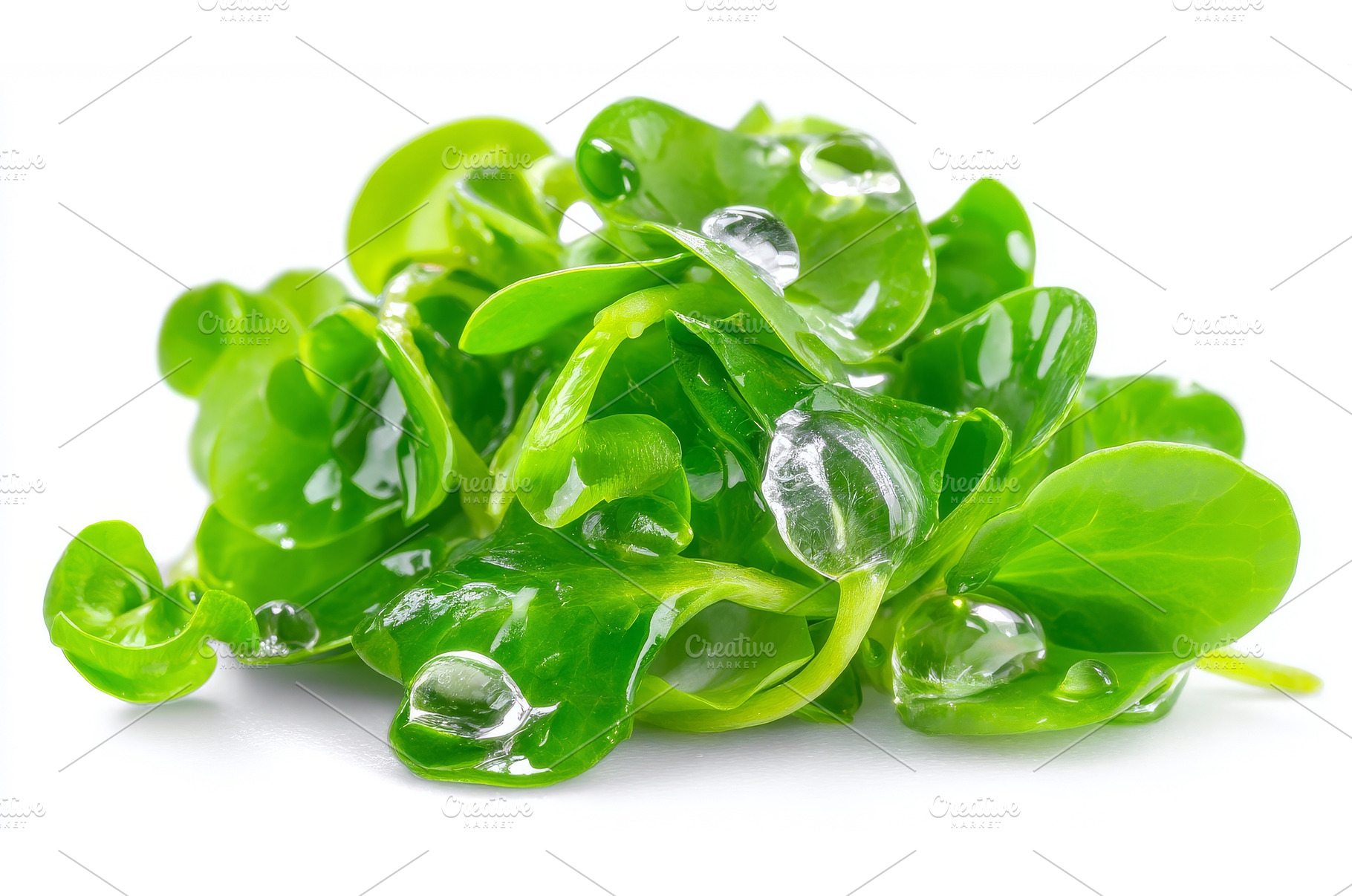 Numerous pea shoots emerge on a, a Food & Drink Photo by ZinetroN