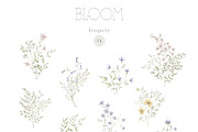 BLOOM Watercolor floral collection, a Decorative Illustration by Kreker Kate (Thumbnail 2 of 9)