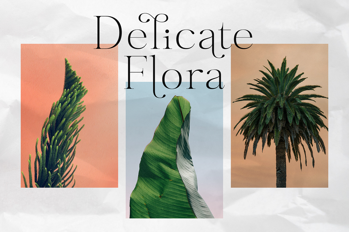 Gloriav, a Serif Font by Glyphofik x GudPap (Photo 3 of 9)