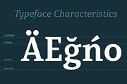 Mirantz, a Serif Font by insigne (Thumbnail 5 of 5)