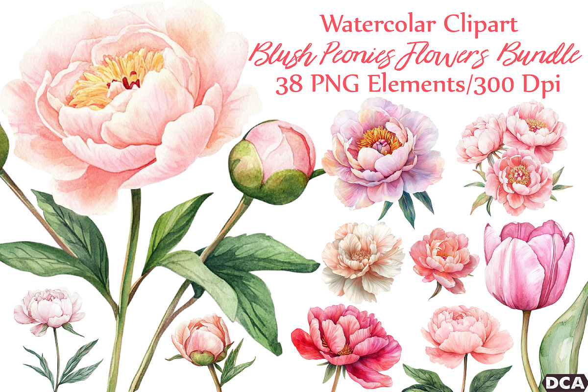 Watercolor Blush Peonies Flowers Cli, an Illustration by DreamCafeArt (Photo 1 of 7)