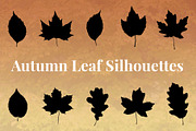 Autumn Leaf Silhouettes + Bonus, an Object Graphic by Build Interactive (Thumbnail 1 of 4)