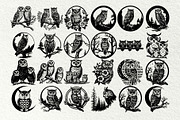 Owl svg bundle. Owl and moon, an Animal Illustration by DENIDigitalArtSudio (Thumbnail 4 of 6)