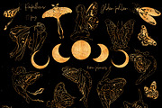 NIGHT MAGIC butterflies women flora, an Animal Illustration by ArtOLB (Thumbnail 3 of 14)