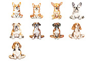 Meditating Dog Clipart, an Illustration by Design Market (Thumbnail 2 of 3)