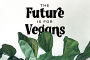 Madison -  Serif Font, a Serif Font by AQR Studio (Thumbnail 2 of 7)