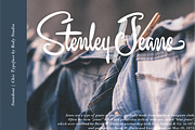 Standout – Chic Typeface, a Script Font by RedyStudio (Thumbnail 6 of 13)