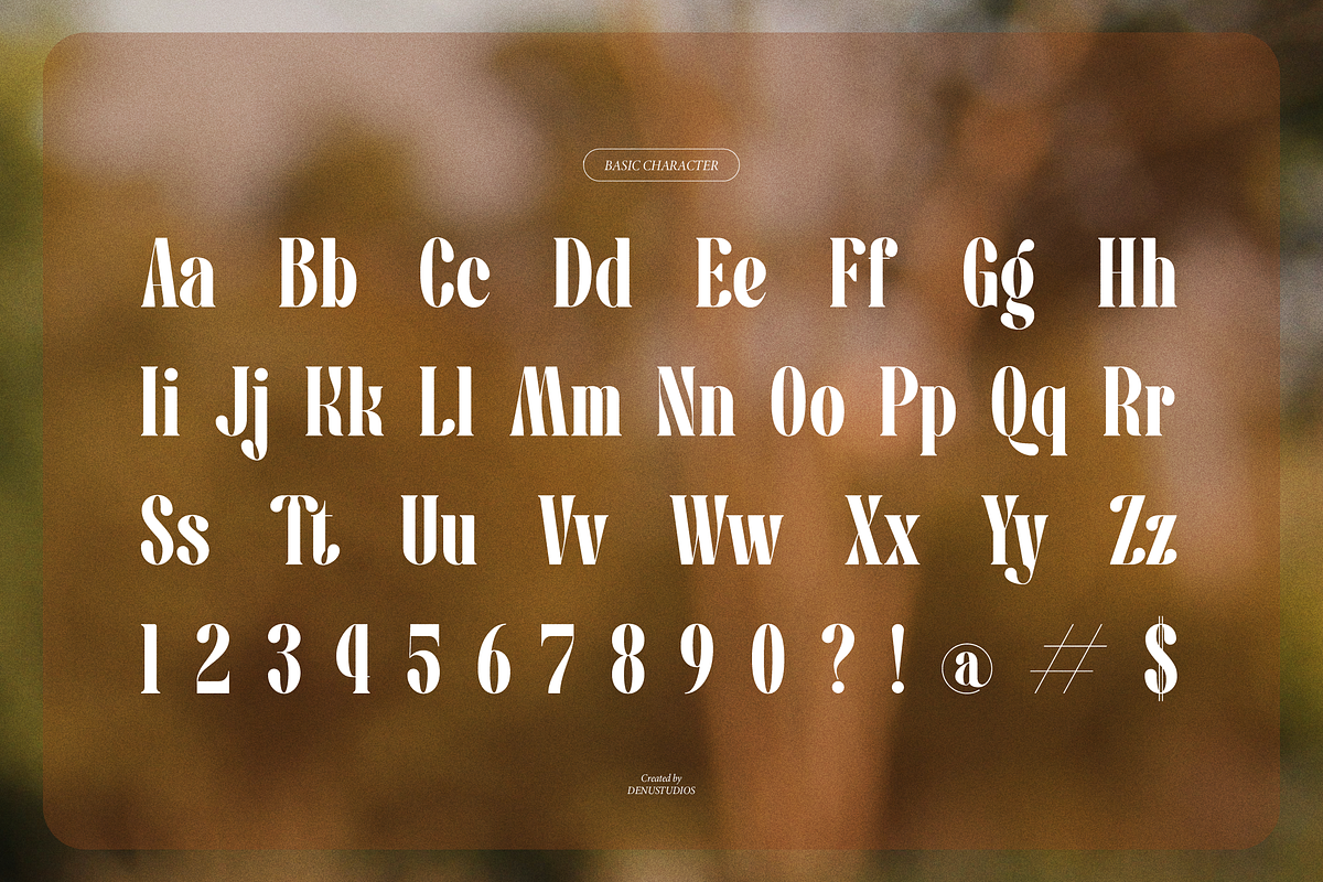 Pany Anemov | Modern Display Serif, a Font by Denustudios (Photo 13 of 15)