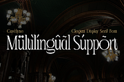 Cavélyne Font, a Serif Font by Graphue (Thumbnail 4 of 9)