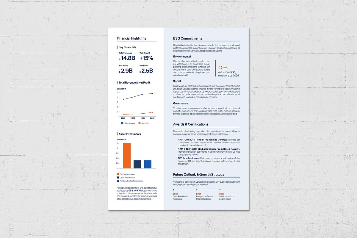 Fact Sheet Template, a Flyer Template by BrandPacks