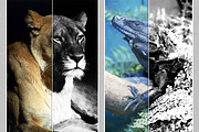 26 Ps Actions, an Action Add-On by DesignThor (Thumbnail 4 of 5)
