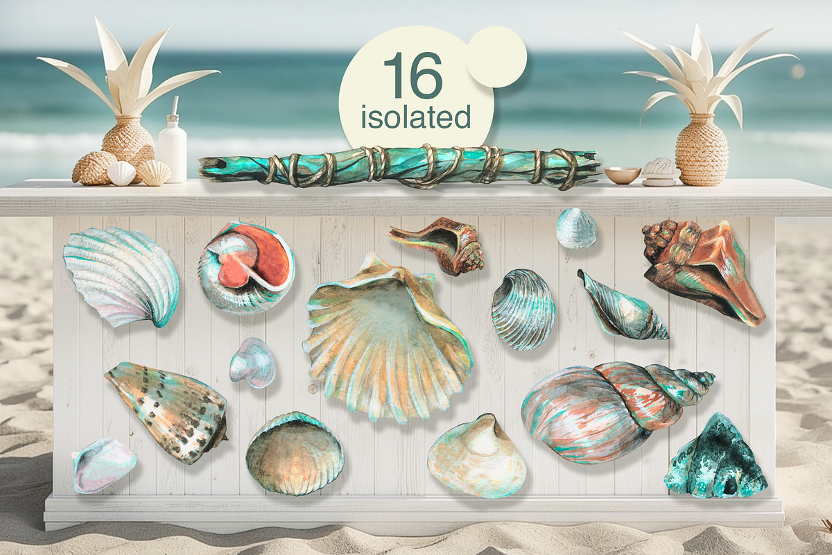 Garland of Shells Watercolor Clipart, an Illustration by NATASHA CHU (Photo 2 of 12)
