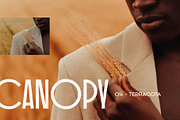 Canopy - Earthy Lightroom Presets, an Action Add-On by Presetrain Co. (Thumbnail 8 of 8)