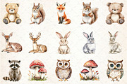 Watercolor Woodland Animal Clipart, an Illustration by Rose Art (Thumbnail 2 of 4)
