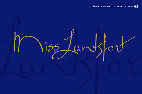 Miss Lankfort Pro preview 7