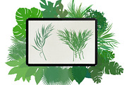 Palm leaves brushes for Procreate, a Brush Add-On by AnastasiyaOleynik (Thumbnail 5 of 12)