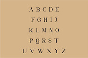 Medifa Font | Beautifull Serif Font, a Serif Font by WhymoreArt (Thumbnail 9 of 10)