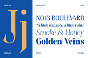 Evoritha, a Serif Font by Propertype (Thumbnail 8 of 16)