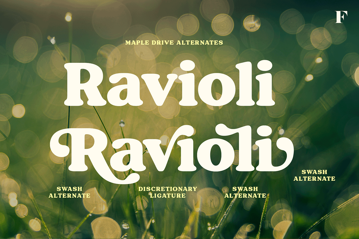 Maple Drive Retro Typeface, a Serif Font by Fenotype (Photo 12 of 13)